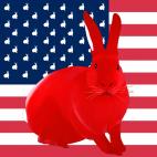 ROUGE-FLAG FLAG ROSE rabbit flag Showroom - Inkjet on plexi, limited editions, numbered and signed. Wildlife painting Art and decoration. Click to select an image, organise your own set, order from the painter on line